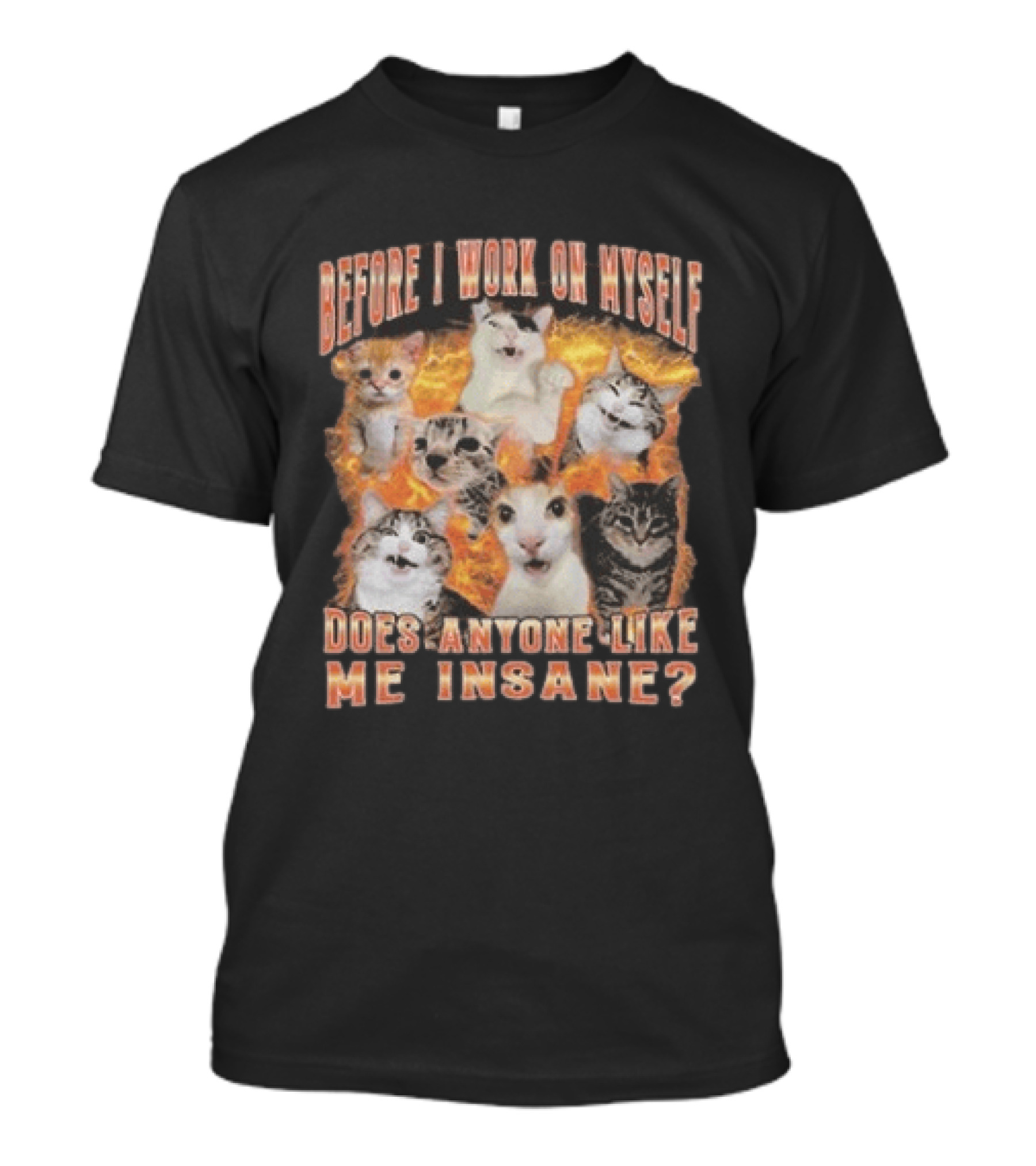 Before I Work On Myself Does Anyone Like Me Insane Cats T-Shirt