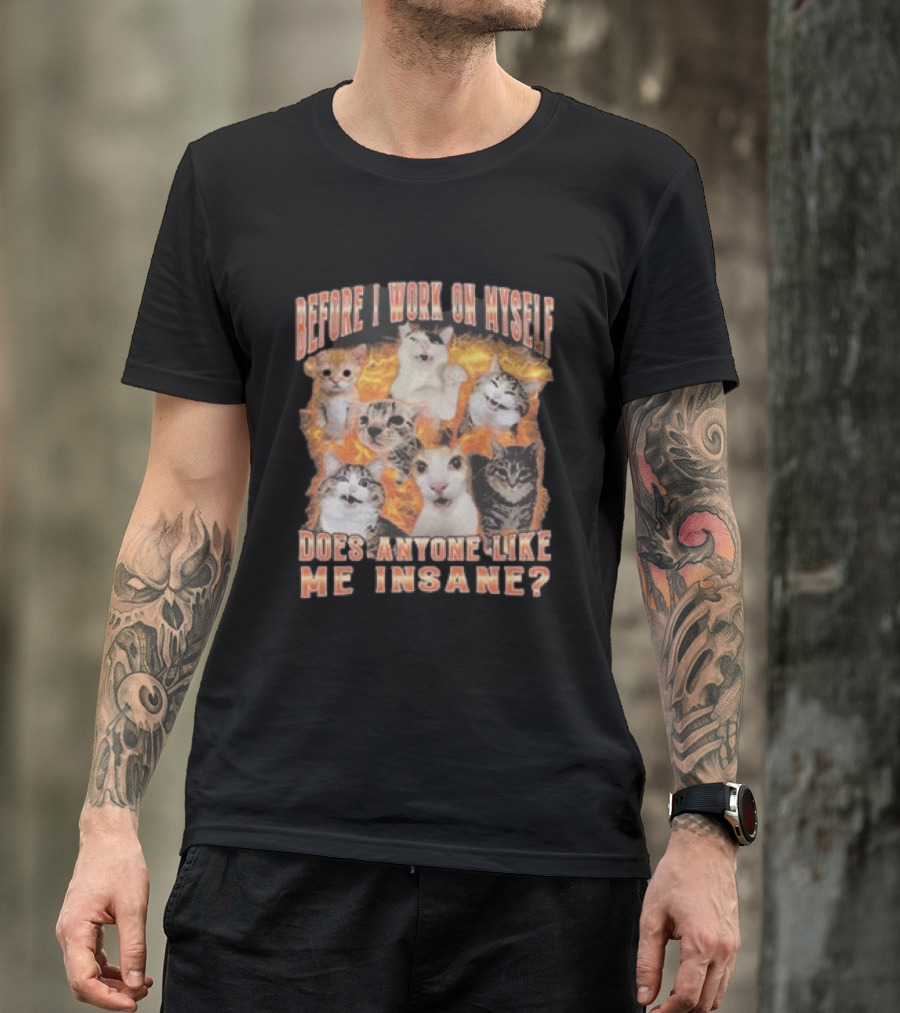 Before I Work On Myself Does Anyone Like Me Insane Cats T-Shirt