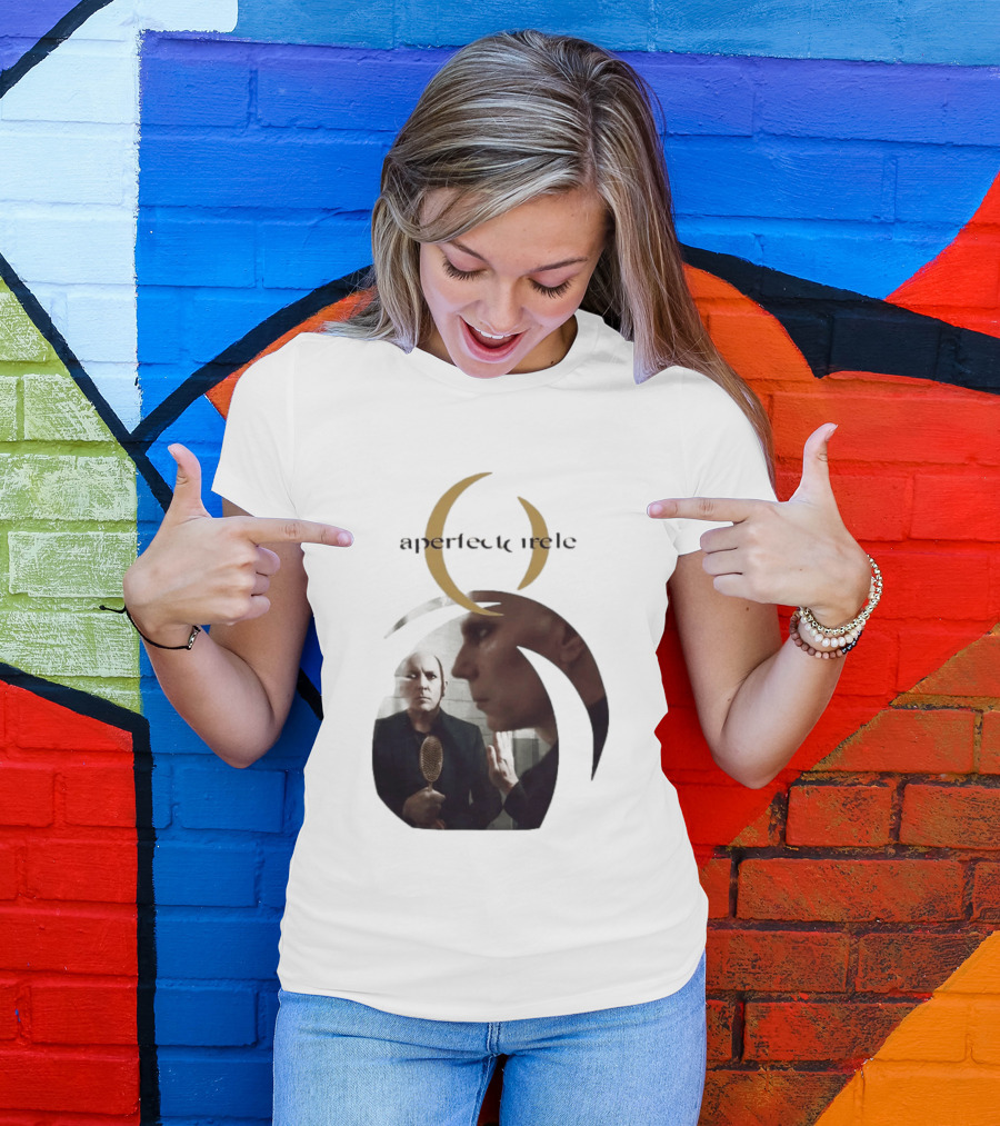 A Perfect Circle 2026 Tour Image With Band Members T-Shirt