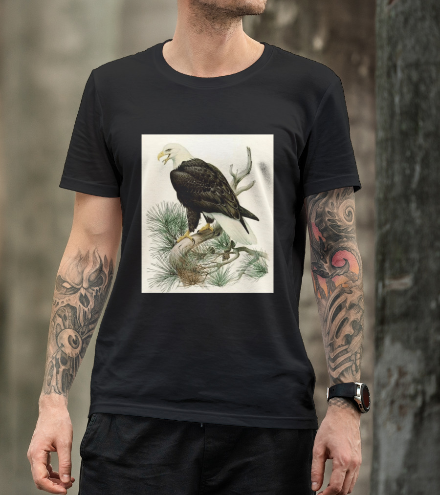 Roger Tory Peterson Bald Eagle Illustration On Stone Background 2026 T-Shirt