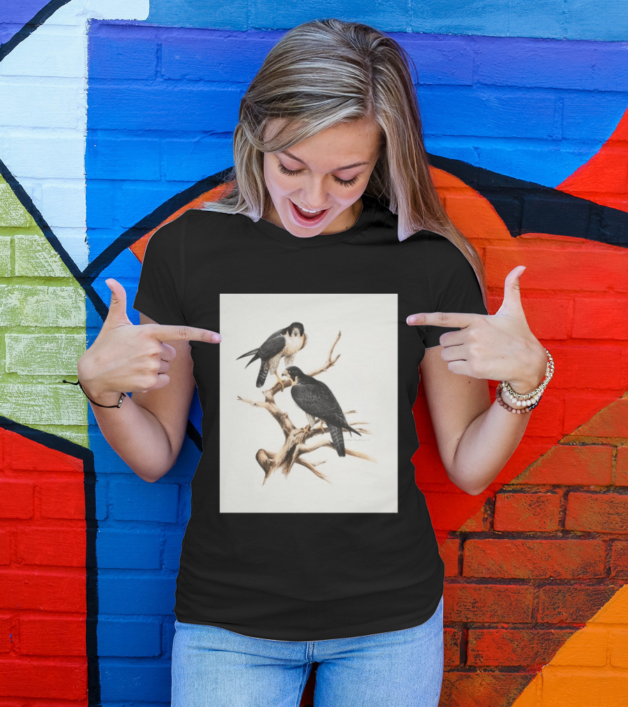 Roger Tory Peterson Peregrines 2026 Adult Ash Bird T-Shirt