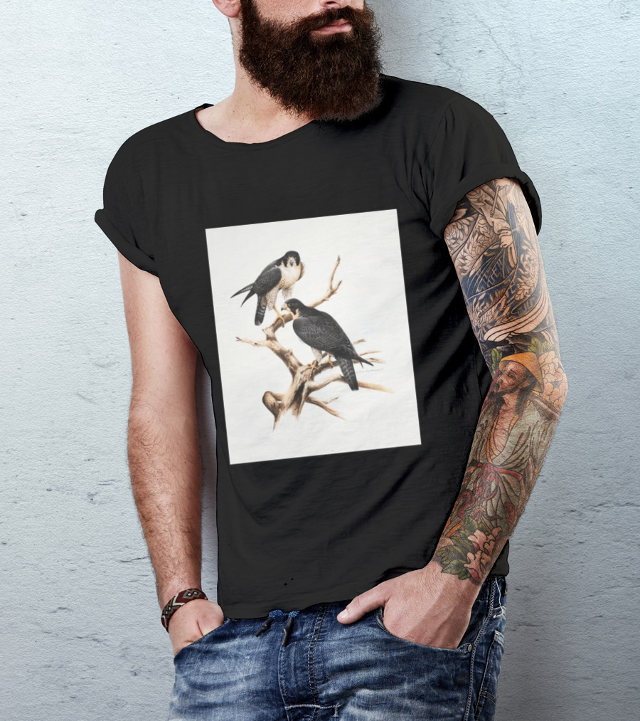 Roger Tory Peterson Peregrines 2026 Adult Ash Bird T-Shirt