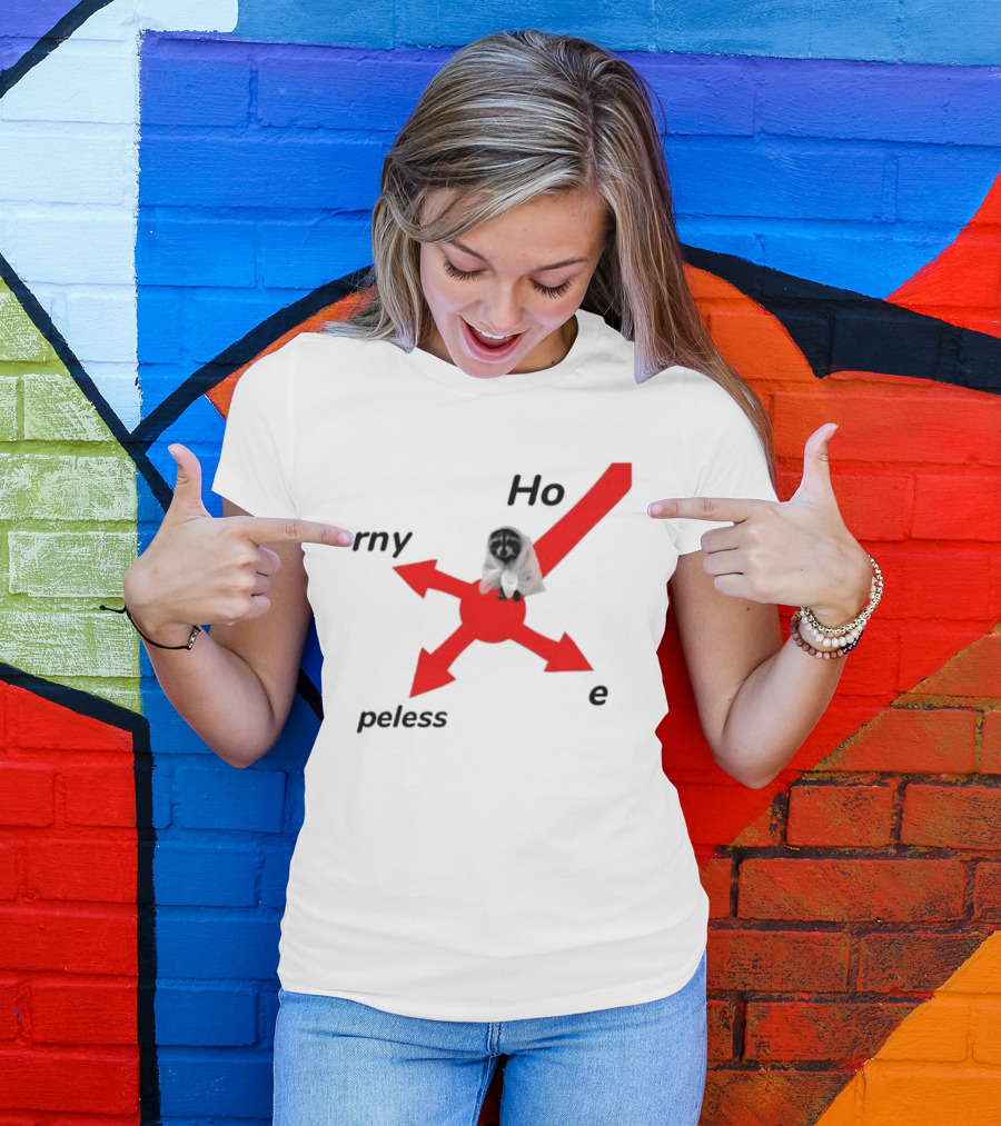 Raccoon Meme Ho Rny Peless Compass T-Shirt