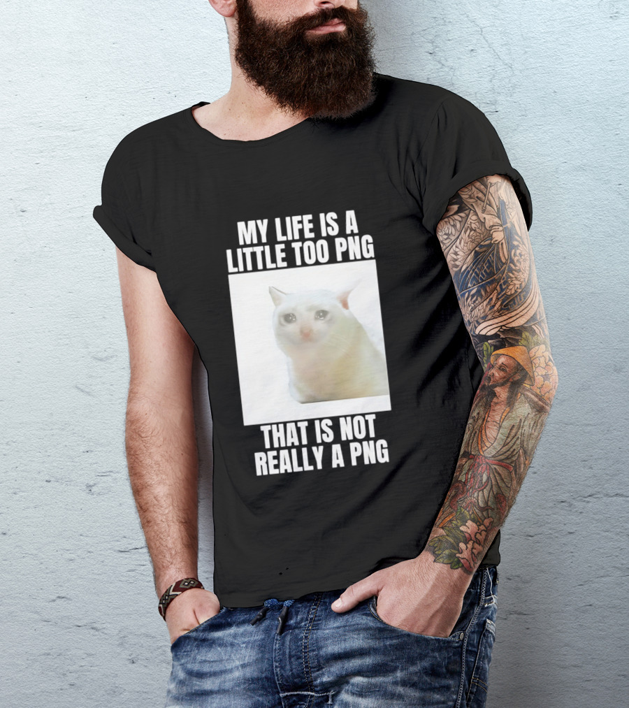 My Life Is A Little Too PNG That Is Not Really A PNG Cat Meme T-Shirt