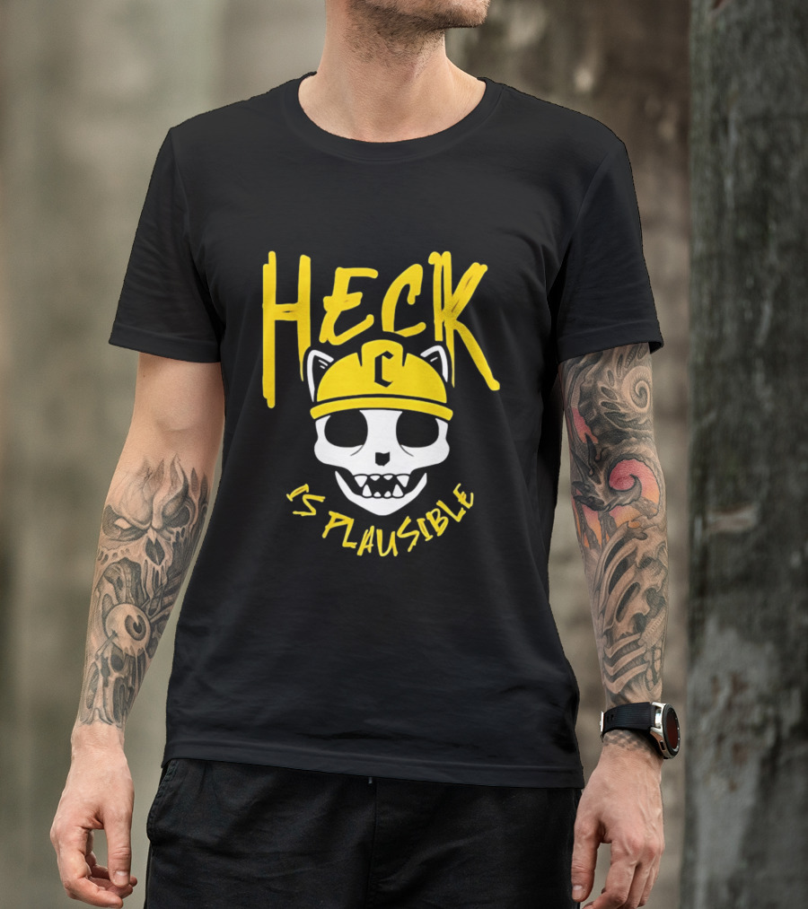 Heck Is Plausible Cat Skull Construction Helmet T-Shirt