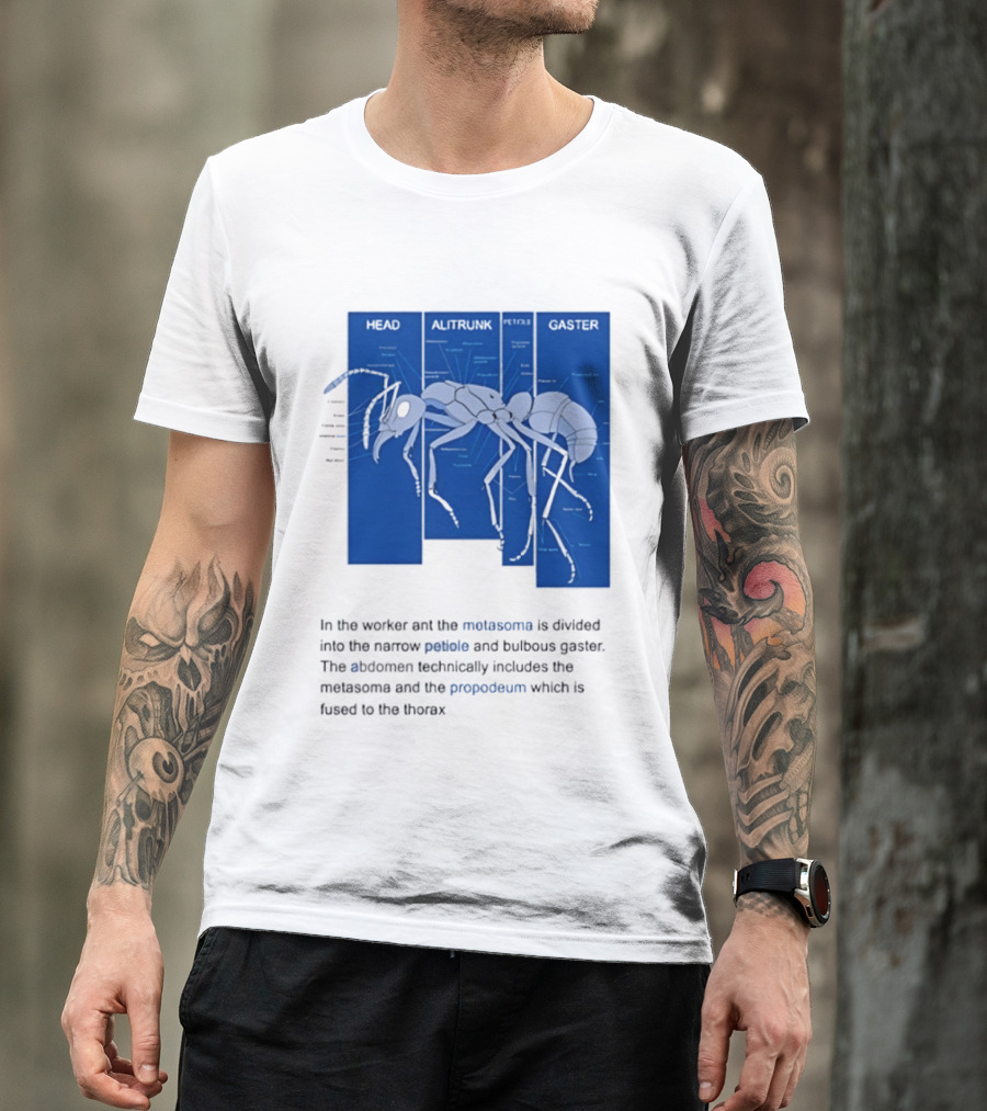 Worker Ant Diagram Head Alitrunk Gaster Metasoma Petiole Biology T-Shirt