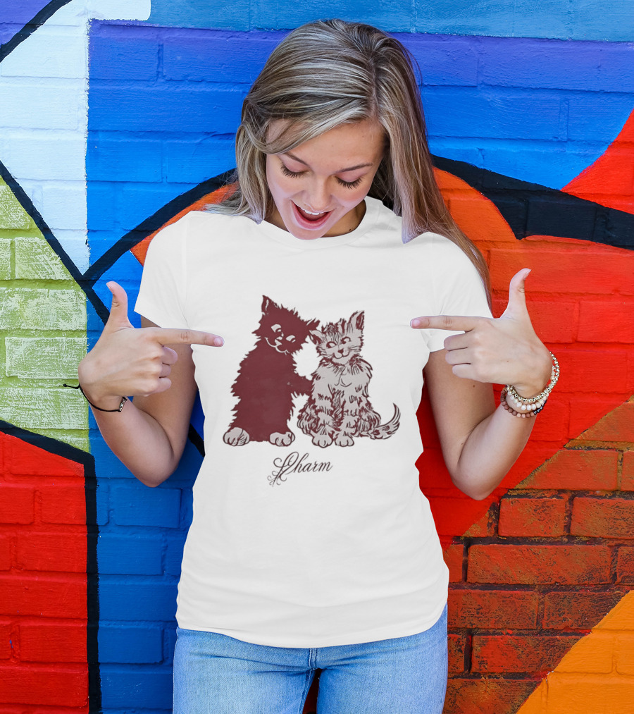 Charm Kittens Cats Hugging T-Shirt