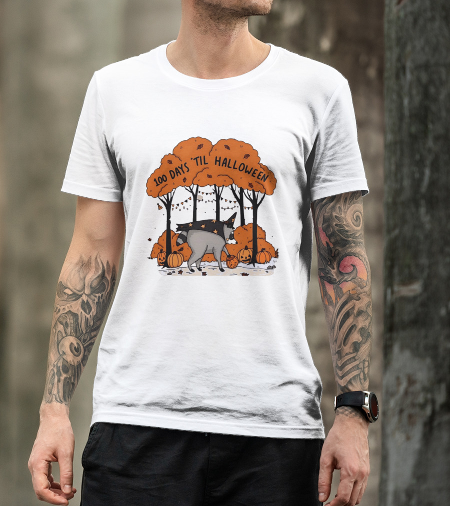 100 Days 'til Halloween Raccoon Wizard Costume In Pumpkin Patch Forest T-Shirt