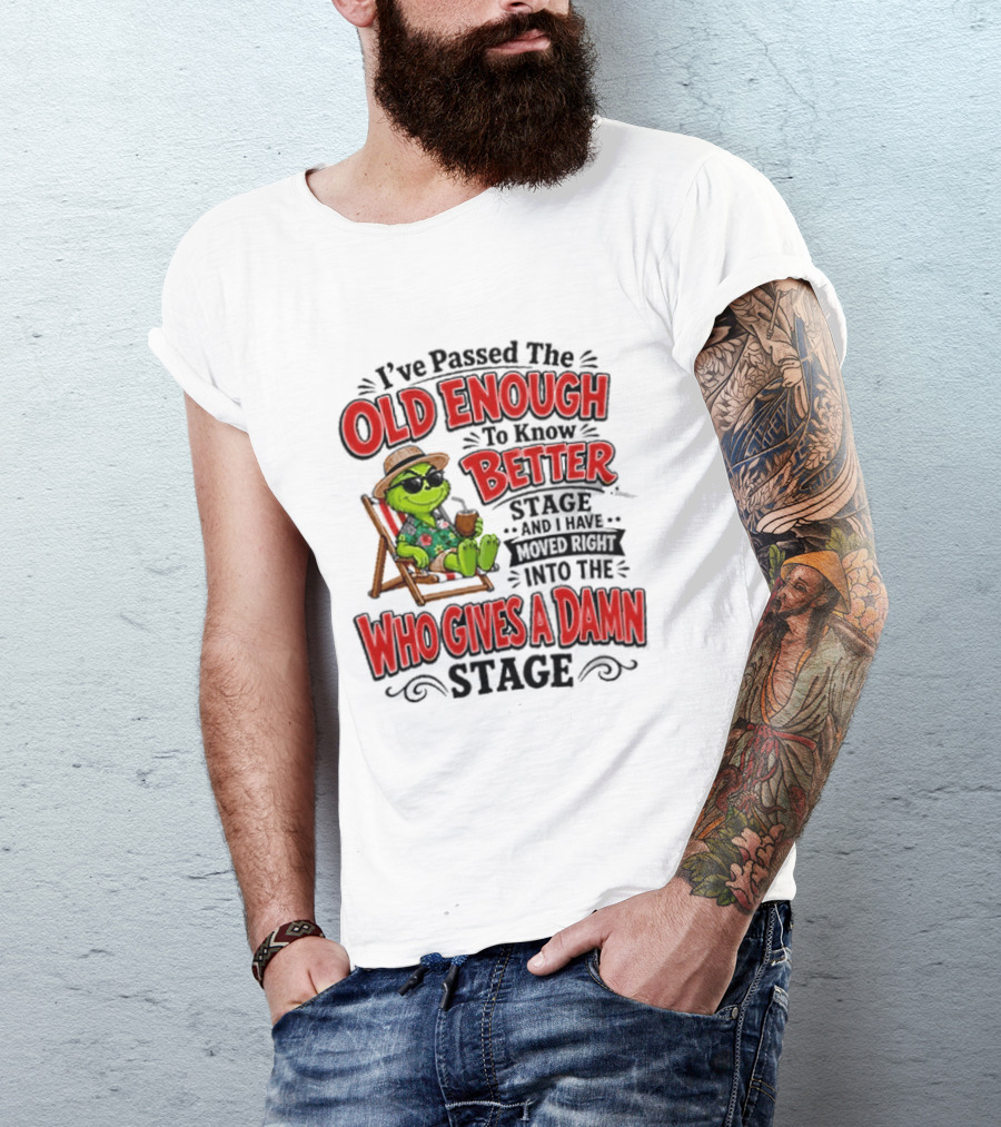 I've Passed Into The Grinch Old Enough To Know Better Who Gives A Damn Stage T-Shirt
