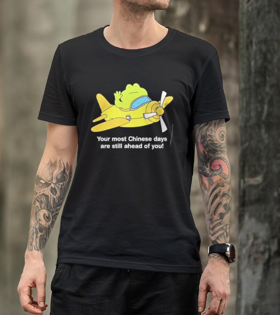 Frog Your Most Chinese Days Are Still Ahead Of You Airplane Scene T-Shirt