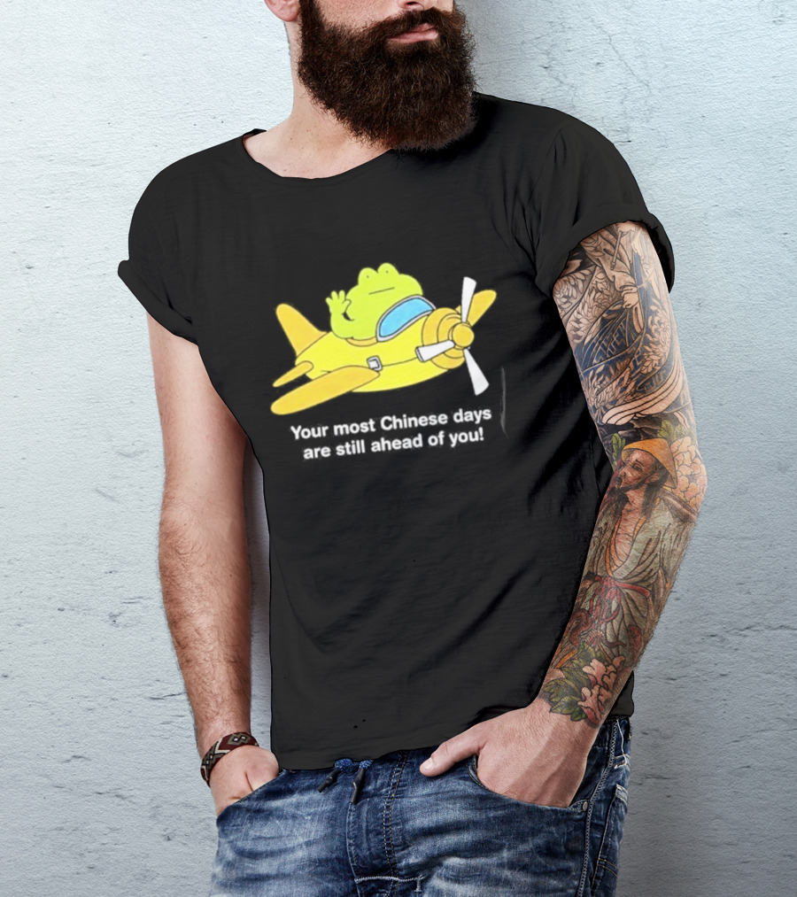 Frog Your Most Chinese Days Are Still Ahead Of You Airplane Scene T-Shirt