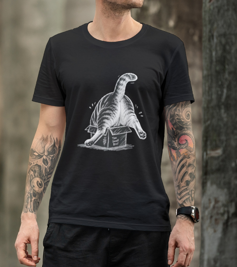 Too Small Bro Tabby Cat Stuck In Box Rear View T-Shirt