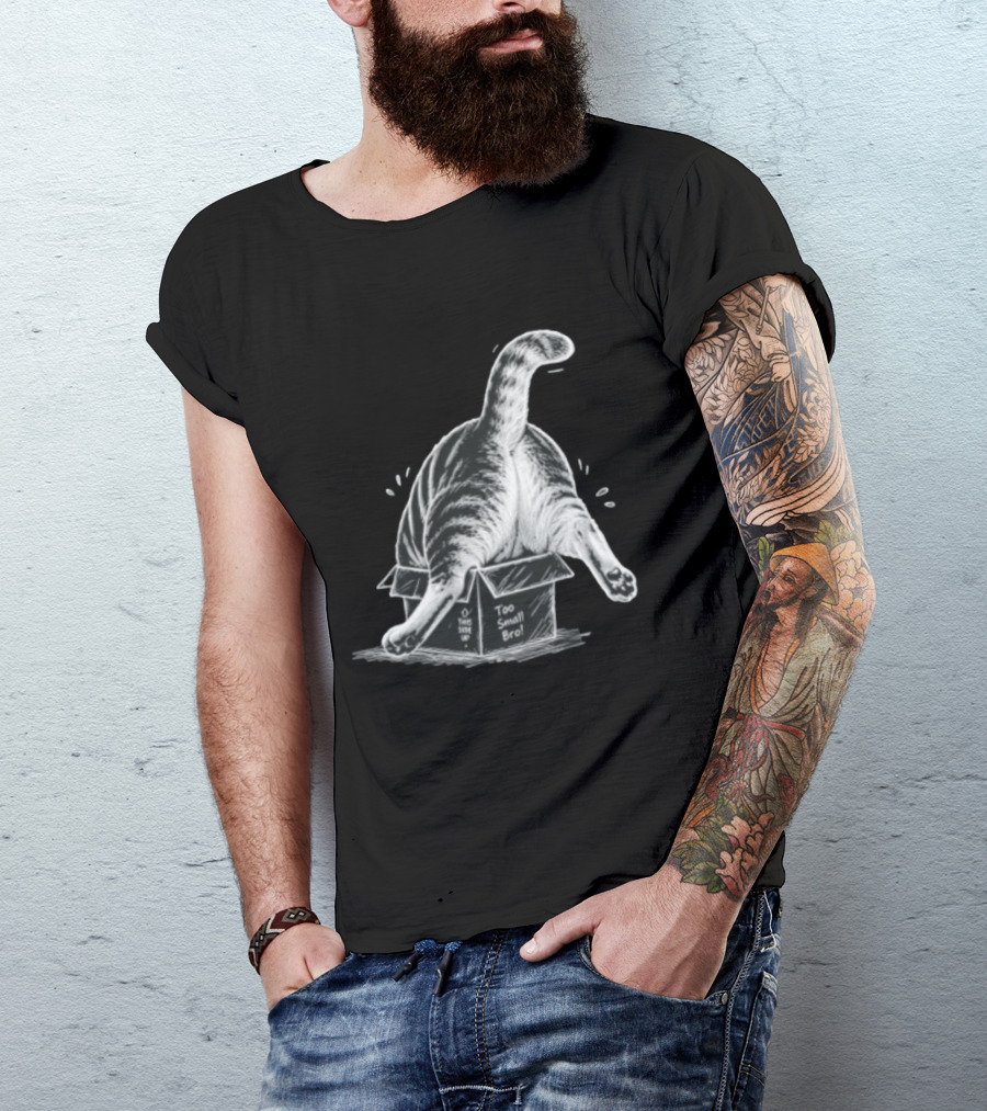 Too Small Bro Tabby Cat Stuck In Box Rear View T-Shirt