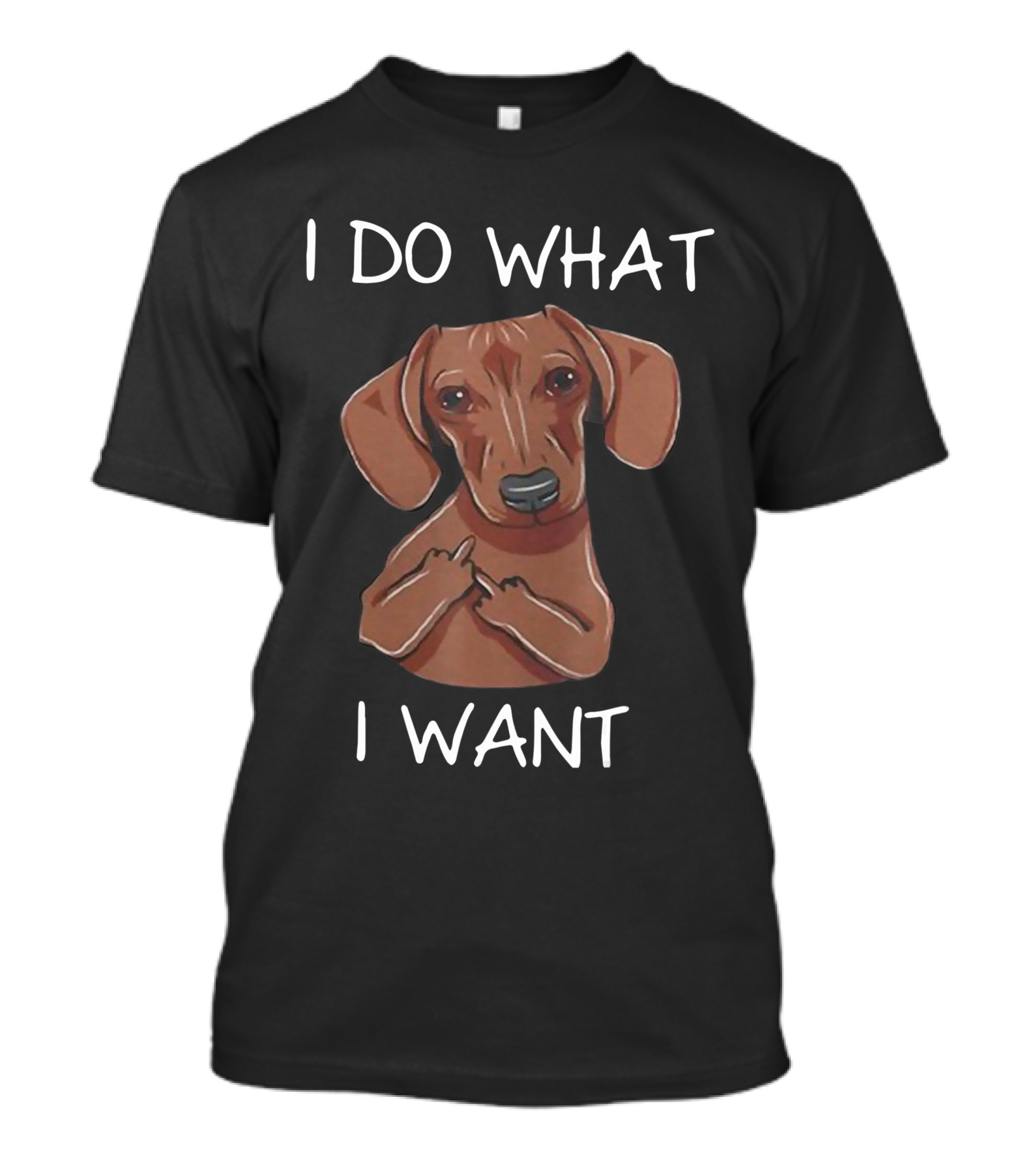 Dachshund I Do What I Want Funny Dachshund I Want T-Shirt