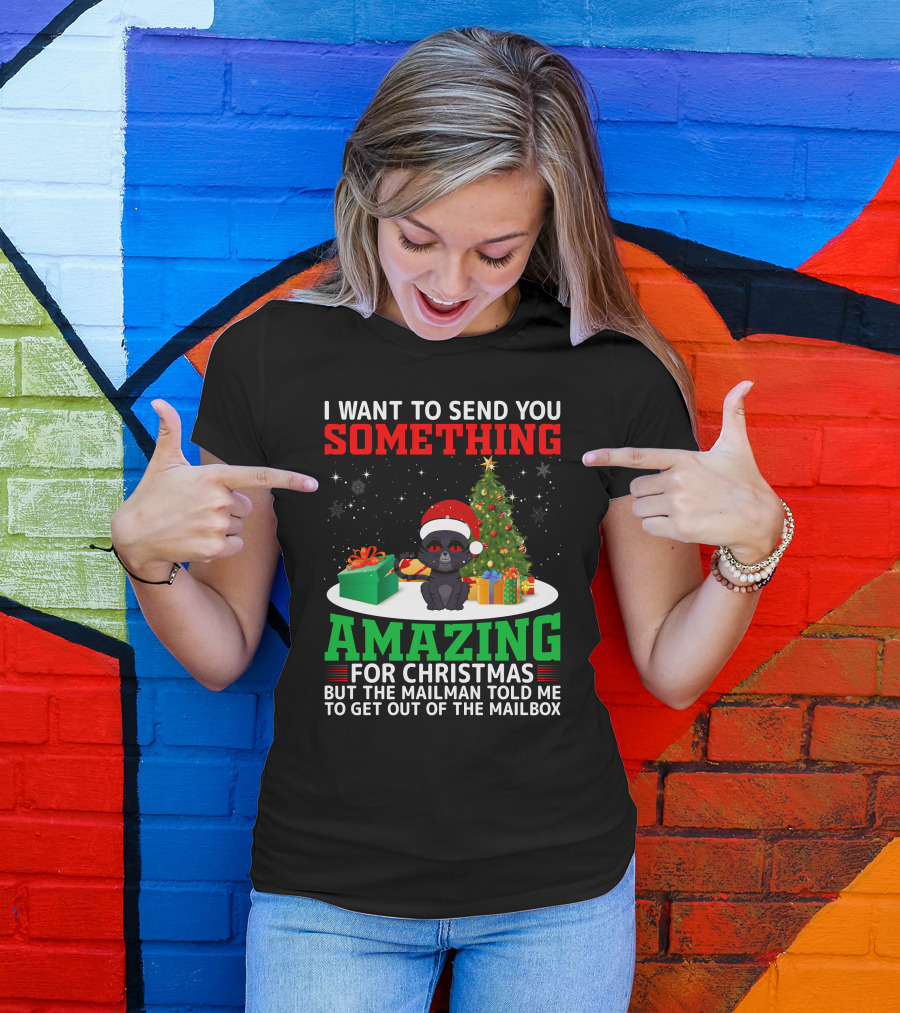 I Want To Send You Something Amazing For Christmas But The Mailman Told Me To Get Out Of The Mailbox T-Shirt
