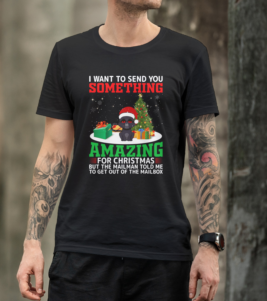 I Want To Send You Something Amazing For Christmas But The Mailman Told Me To Get Out Of The Mailbox T-Shirt