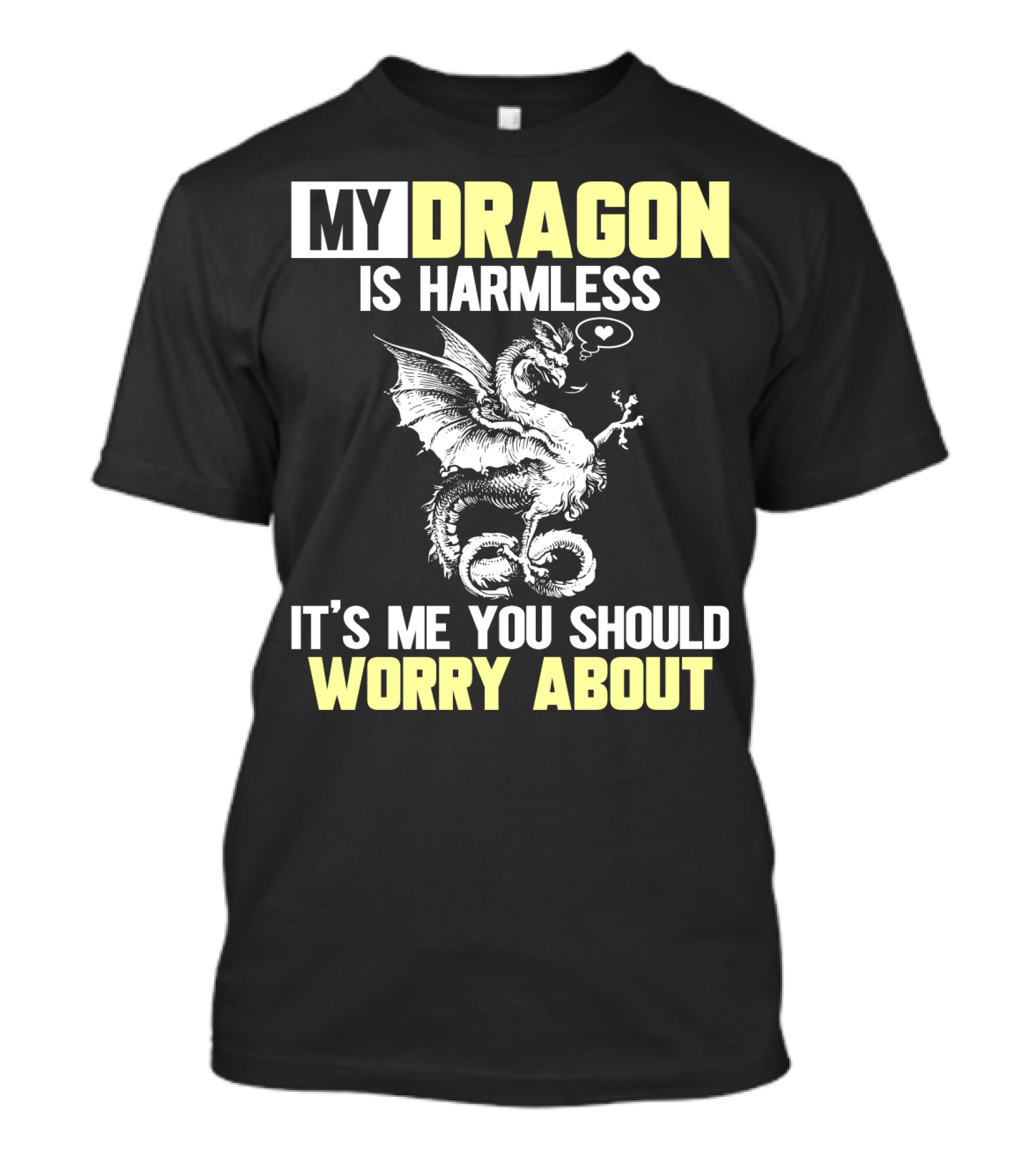 MY DRAGON IS HARMLESS IT'S ME YOU SHOULD WORRY ABOUT T-Shirt