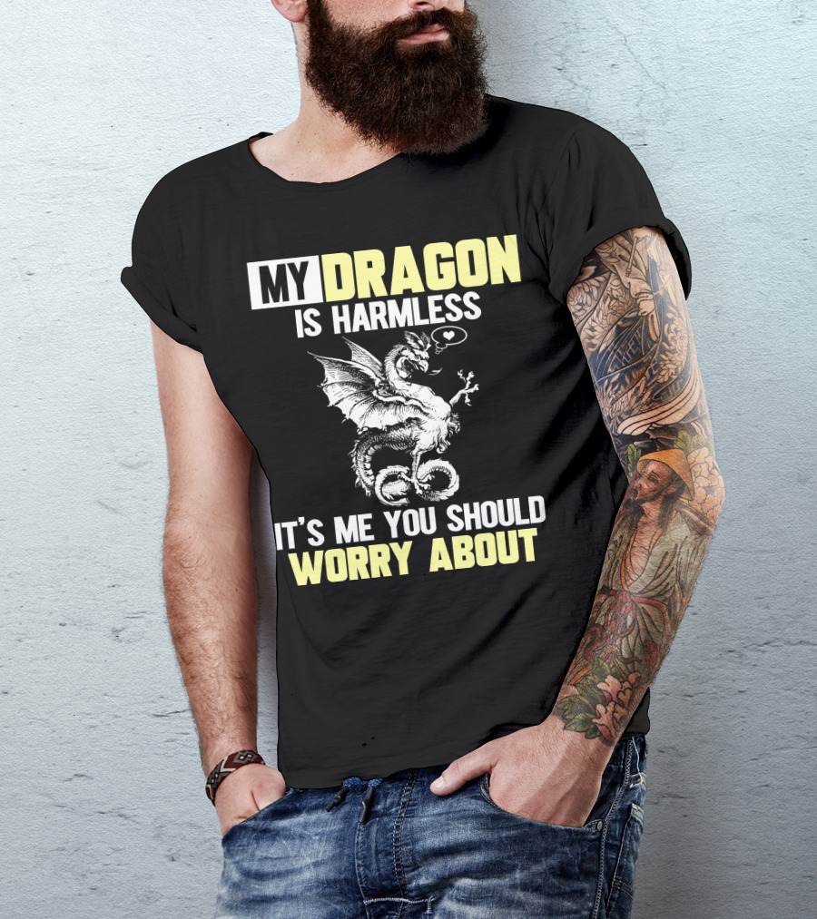 MY DRAGON IS HARMLESS IT'S ME YOU SHOULD WORRY ABOUT T-Shirt
