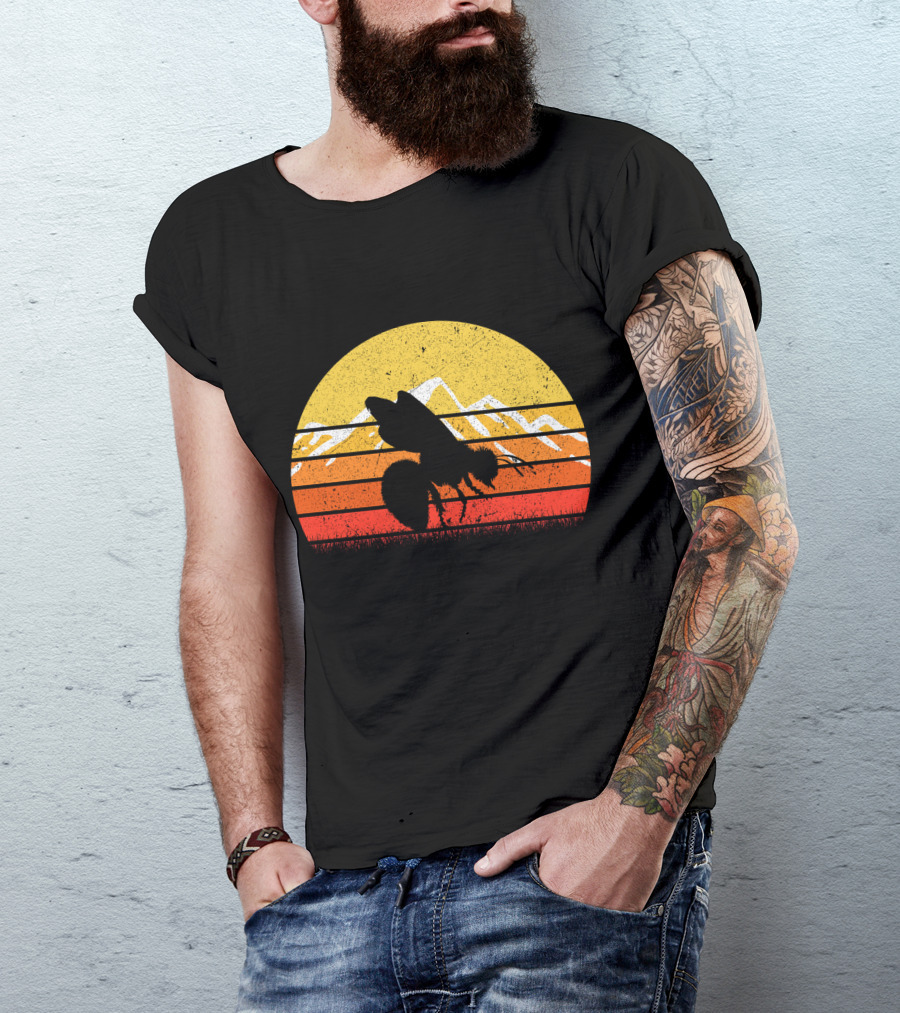 Retro Vintage Bee Sunburst With Mountain T-Shirt