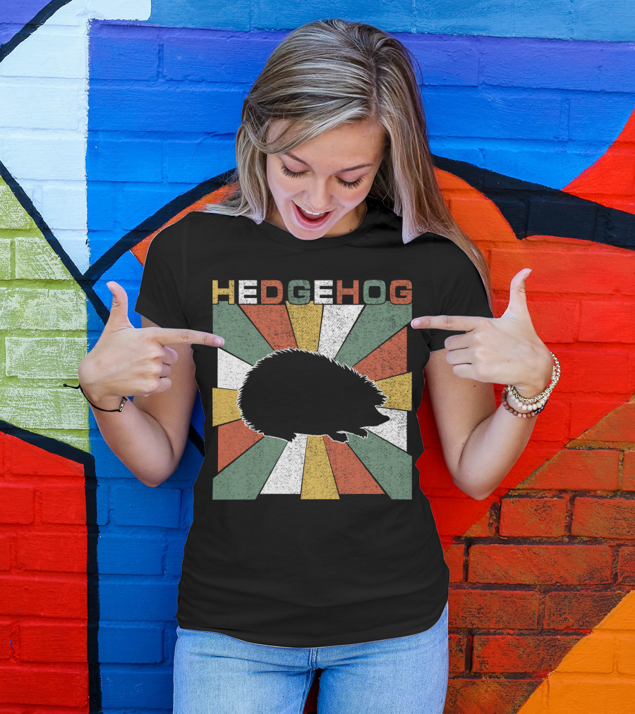 Hedgehog Retro 70s Silhouette Vintage Stripe Burst T-Shirt