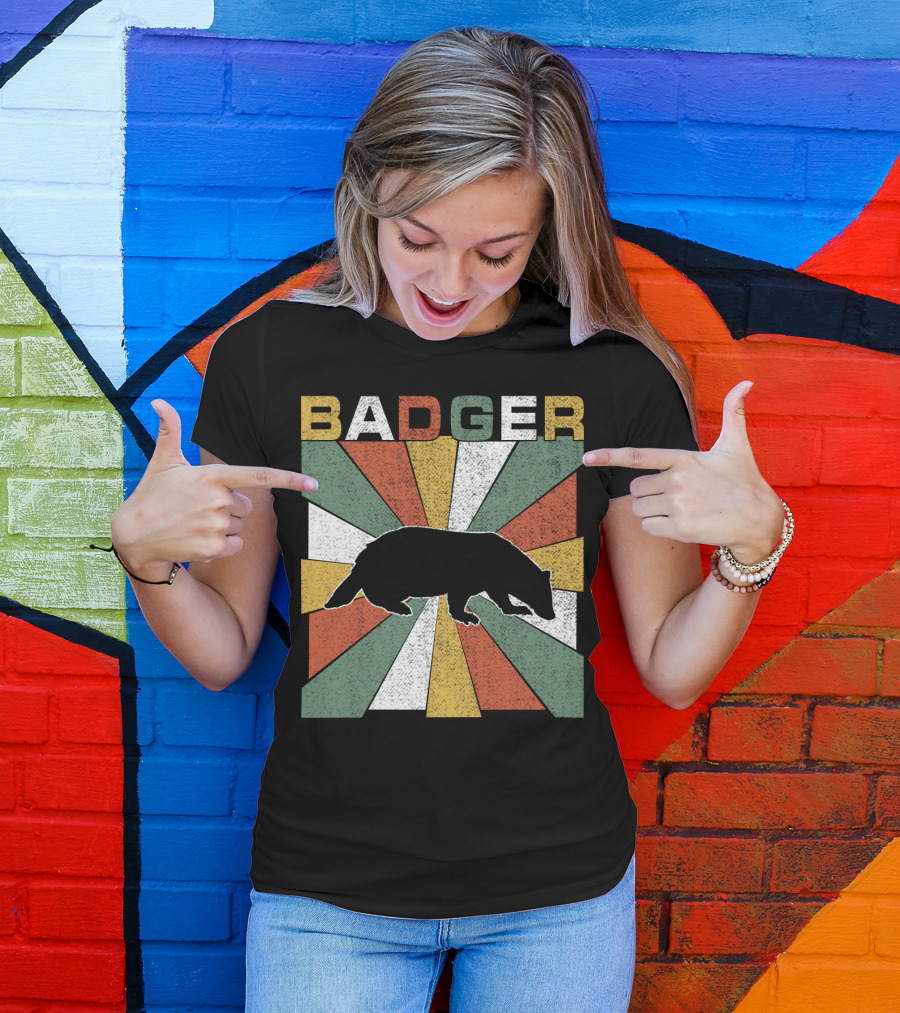 BADGER Vintage 70s Silhouette With Colorful Retro Stripes T-Shirt