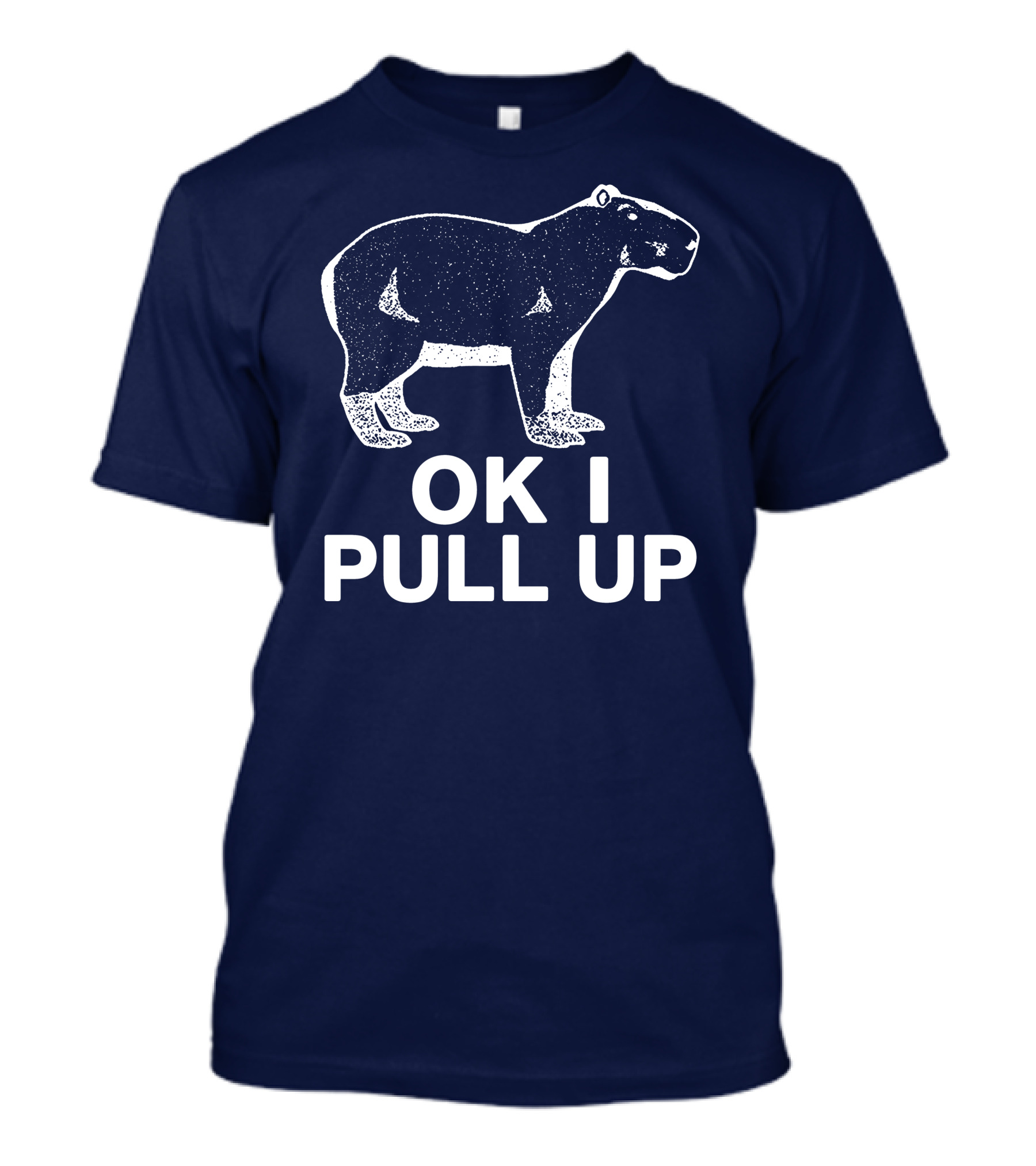 Capybara Ok I Pull Up T-Shirt