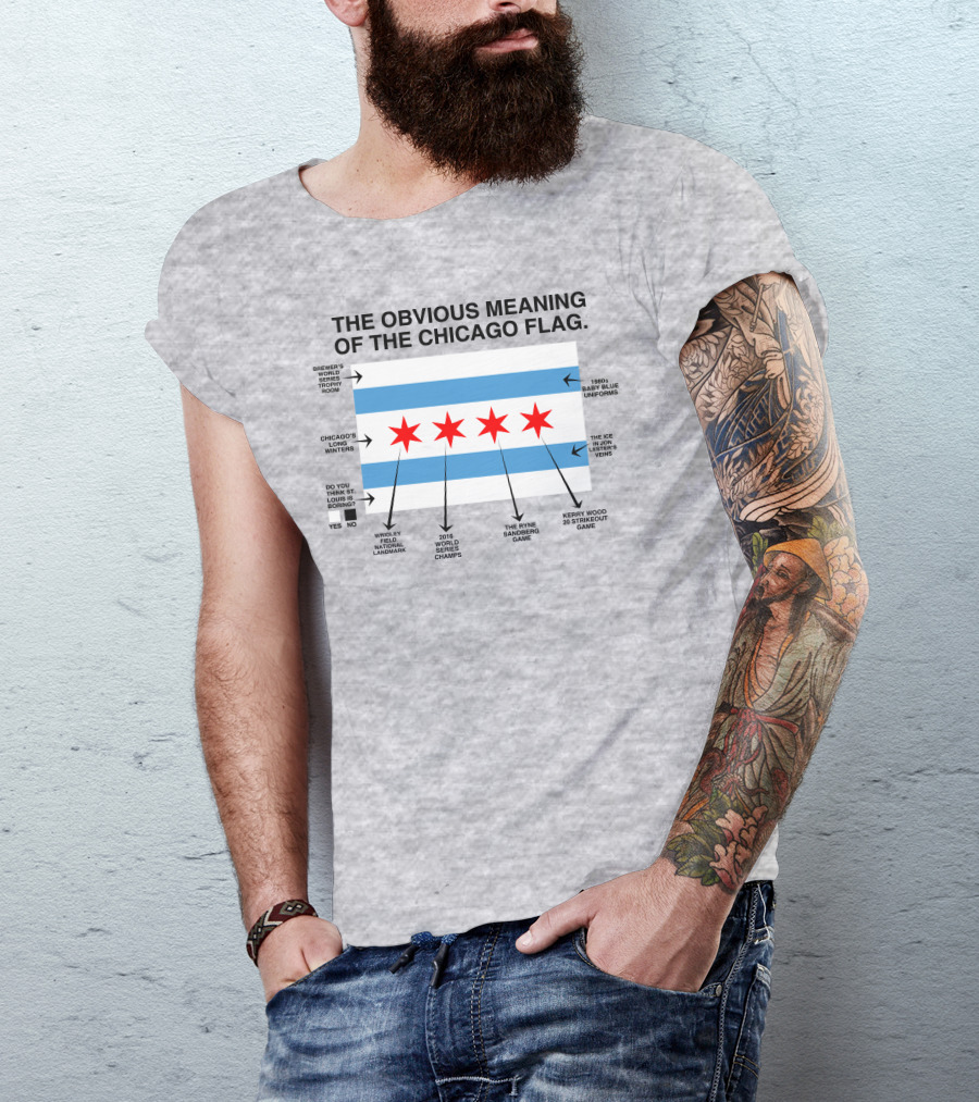 Chicago Flag's Hidden Story: Cold Winters, Iconic Games, And World Series Champs T-Shirt