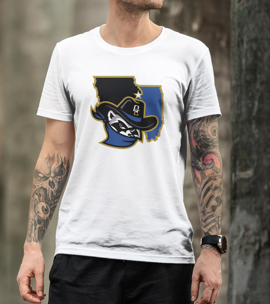 Quad Cities River Bandits Midwest League Baseball Logo 22 T-Shirt