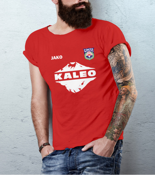 Kaleo Jako UMFA Tour Merch T-Shirt