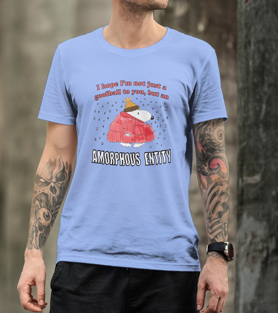 I Hope I'm Not Just A Goofball To You But An Amorphous Entity In Winter Wear T-Shirt
