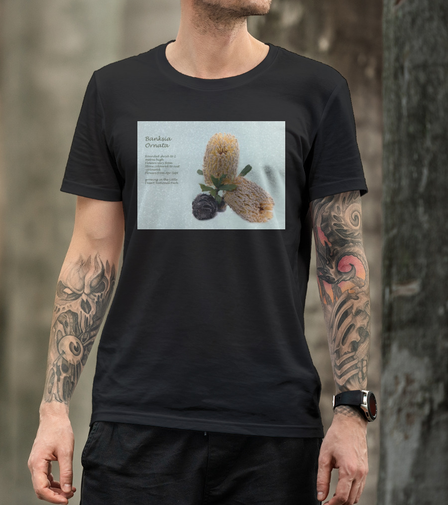 Banksia Ornata Rounded Shrubs Little Desert National Park Flowers T-Shirt