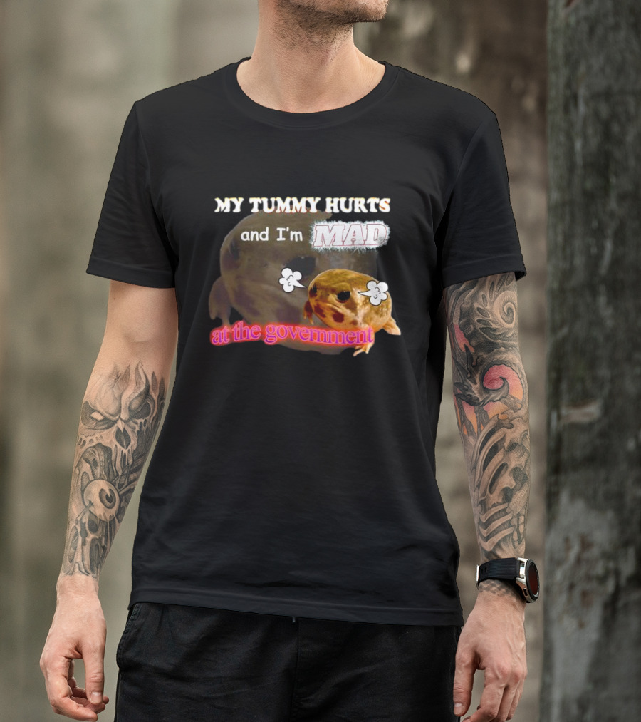 My Tummy Hurts And I'm MAD At The Government Frog Meme T-Shirt