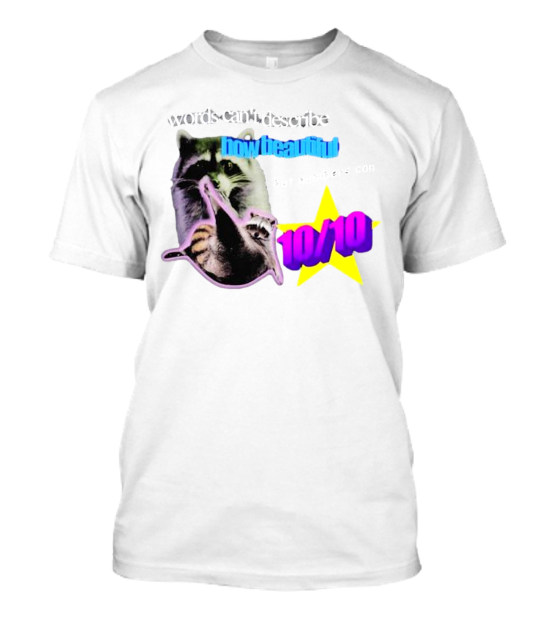Words Can't Describe How Beautiful I Am But Numbers Can 10/10 Raccoon Star T-Shirt