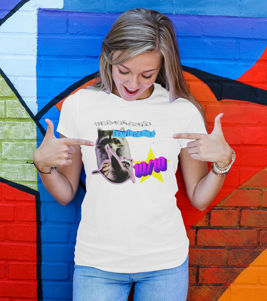 Words Can't Describe How Beautiful I Am But Numbers Can 10/10 Raccoon Star T-Shirt
