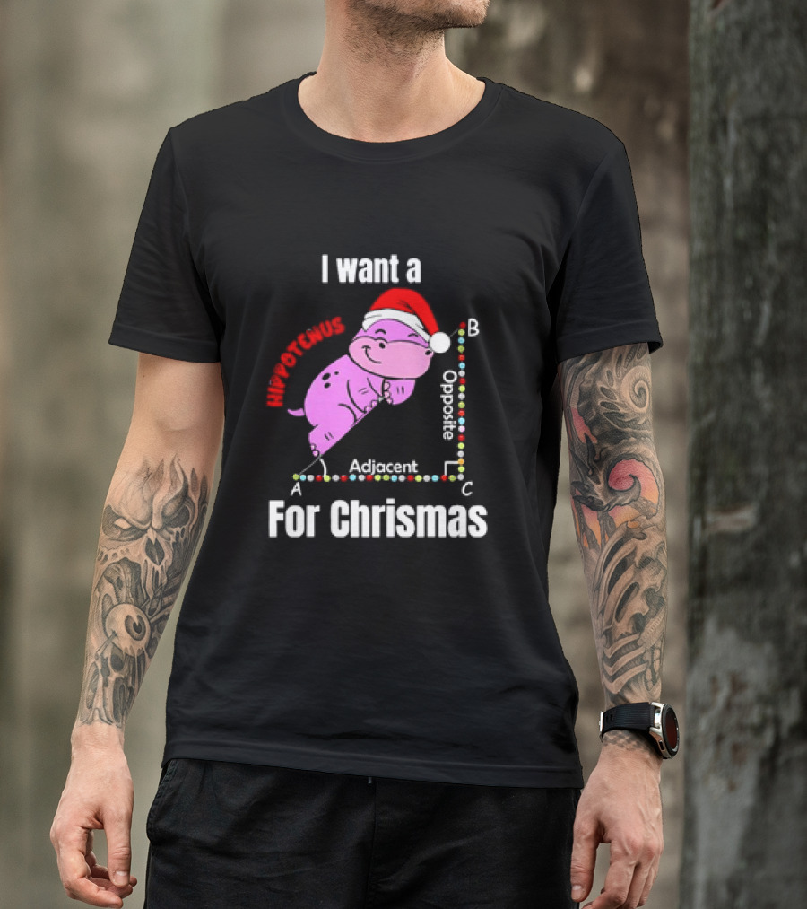 I Want A Hippotenuse ABC Adjacent Opposite For Christmas Cute Hippo T-Shirt