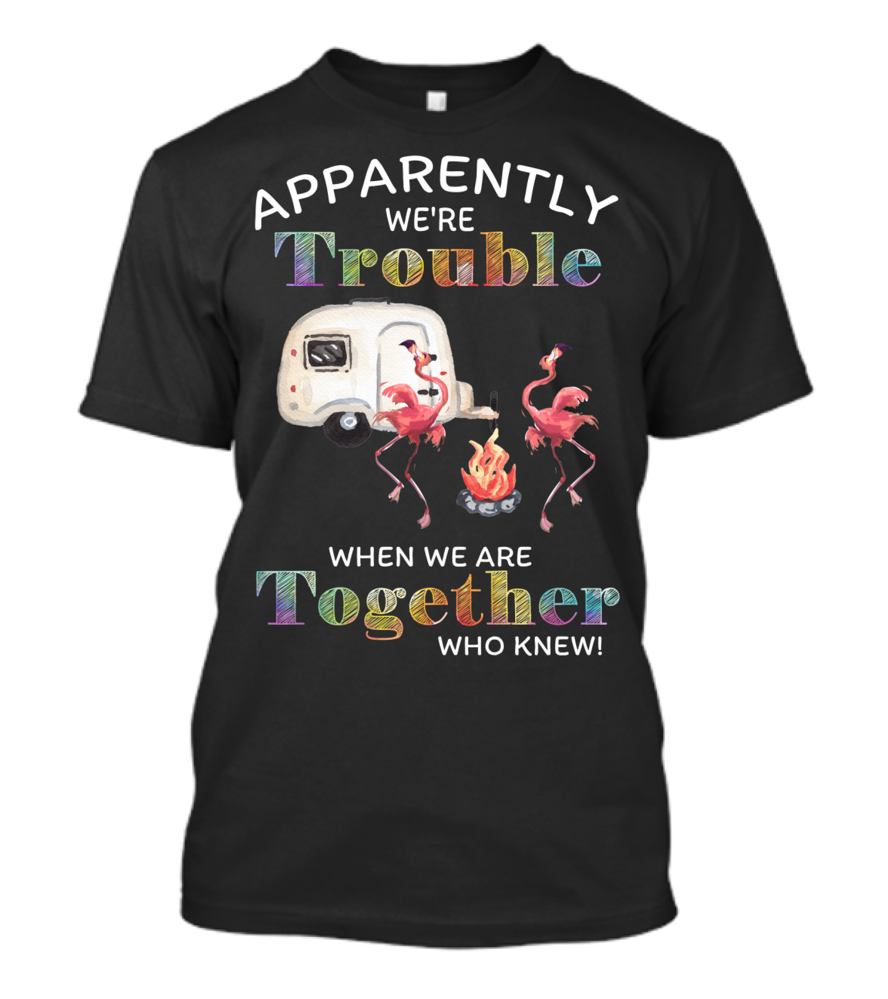 Apparently We're Trouble When We Are Together Flamingo Camping Who Knew T-Shirt