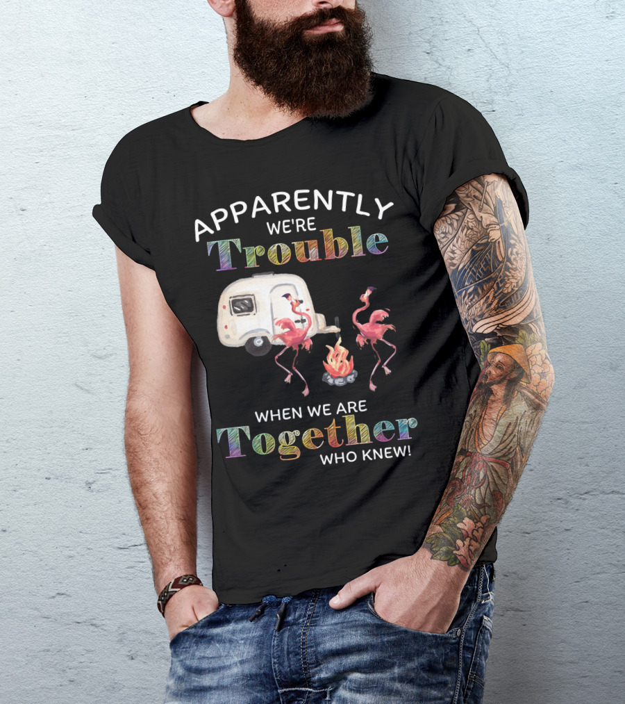 Apparently We're Trouble When We Are Together Flamingo Camping Who Knew T-Shirt