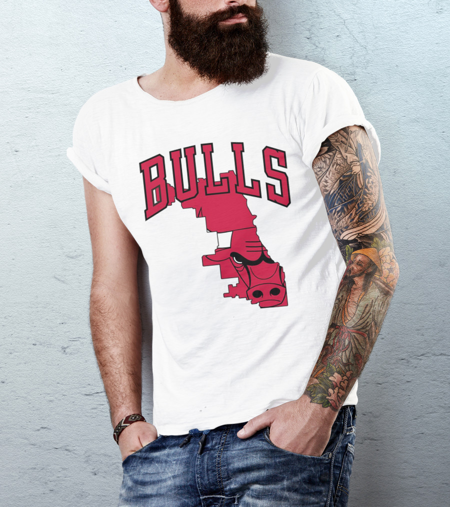 Bulls Chicago Map T-Shirt