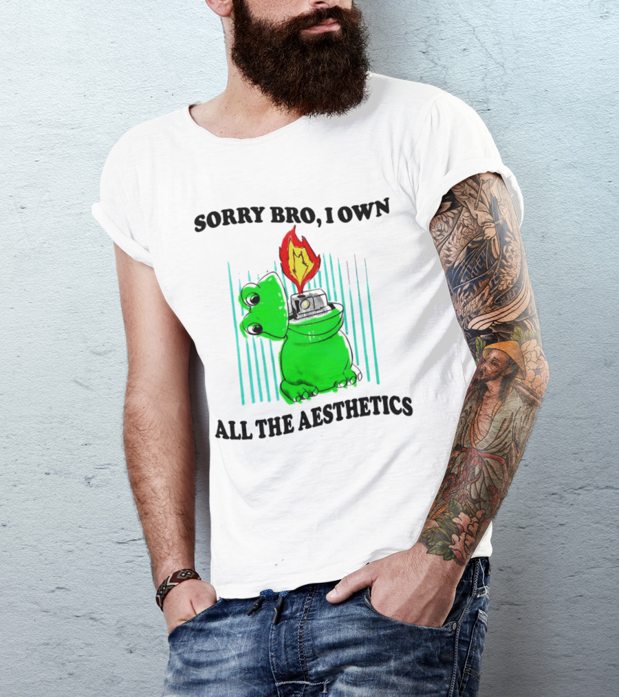 Sorry Bro I Own All The Aesthetics Melting Frog Lighter Flame T-Shirt