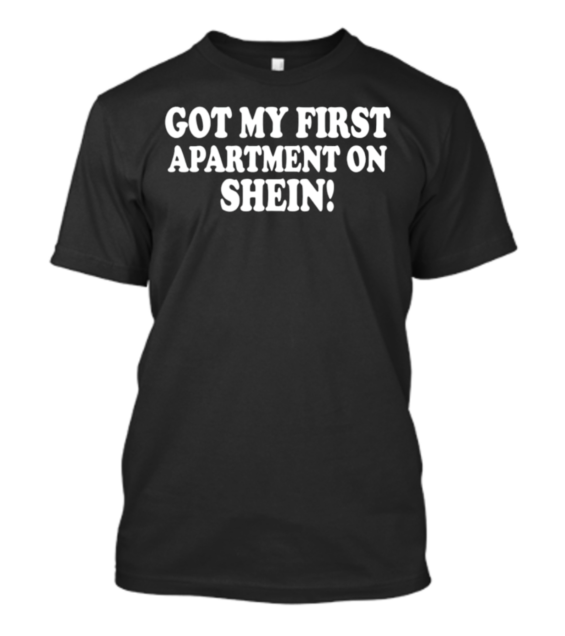 Got My First Apartment On Shein T-Shirt