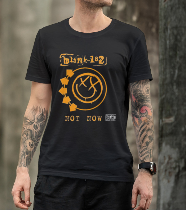 Blink-182 Not Now Greatest Hits Album Parental Advisory Smiley T-Shirt