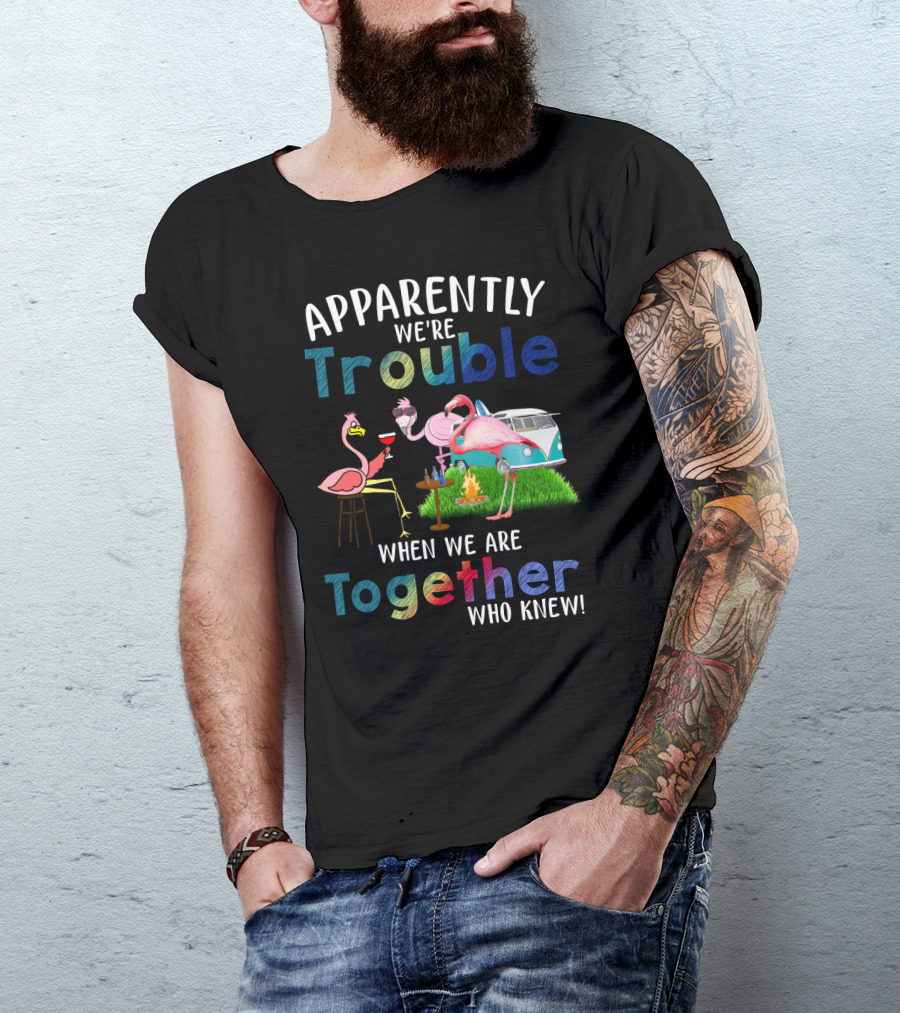 Apparently We're Trouble When We Are Together Flamingos Camping Van Campfire T-Shirt