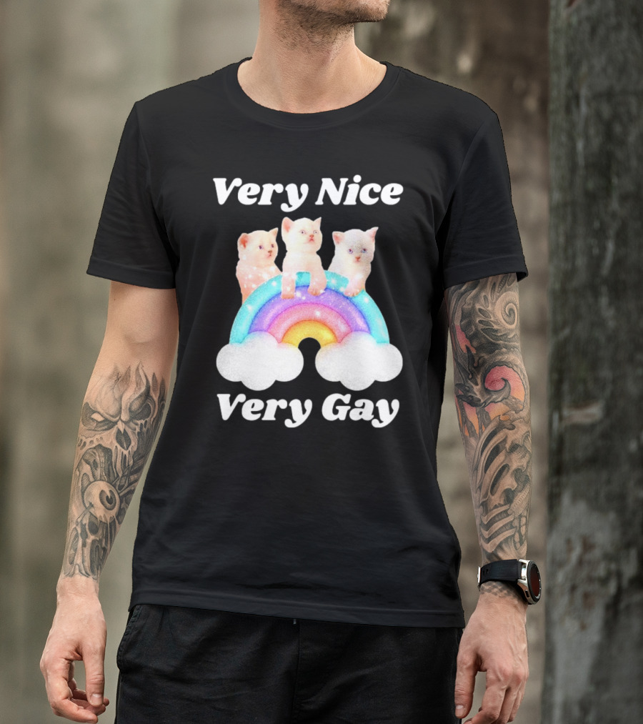 Very Nice Very Gay Cats On Rainbow T-Shirt