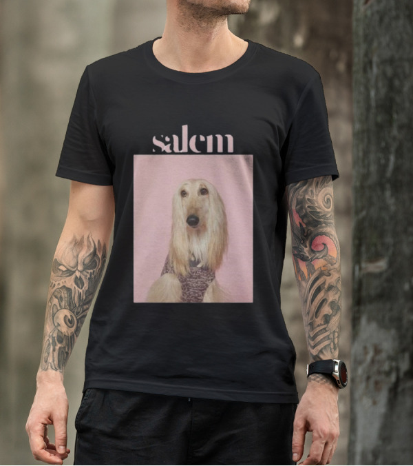 Salem Ilese Dog Afghan Hound Portrait On Pink Background T-Shirt