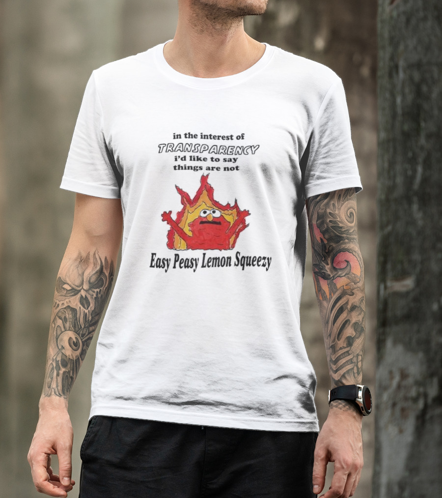 In The Interest Of Transparency I’d Like To Say Things Are Not Easy Peasy Lemon Squeezy Fire Meme T-Shirt