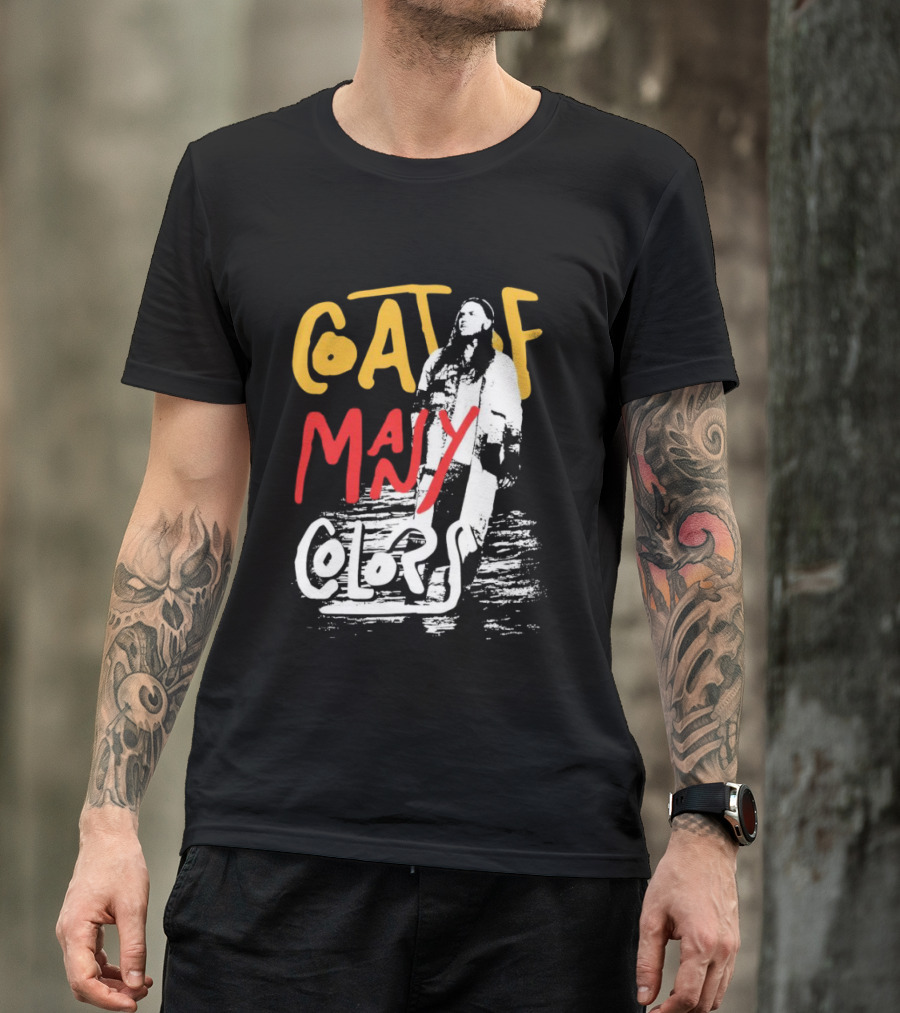 Brandon Lake Coat Of Many Colors T-Shirt