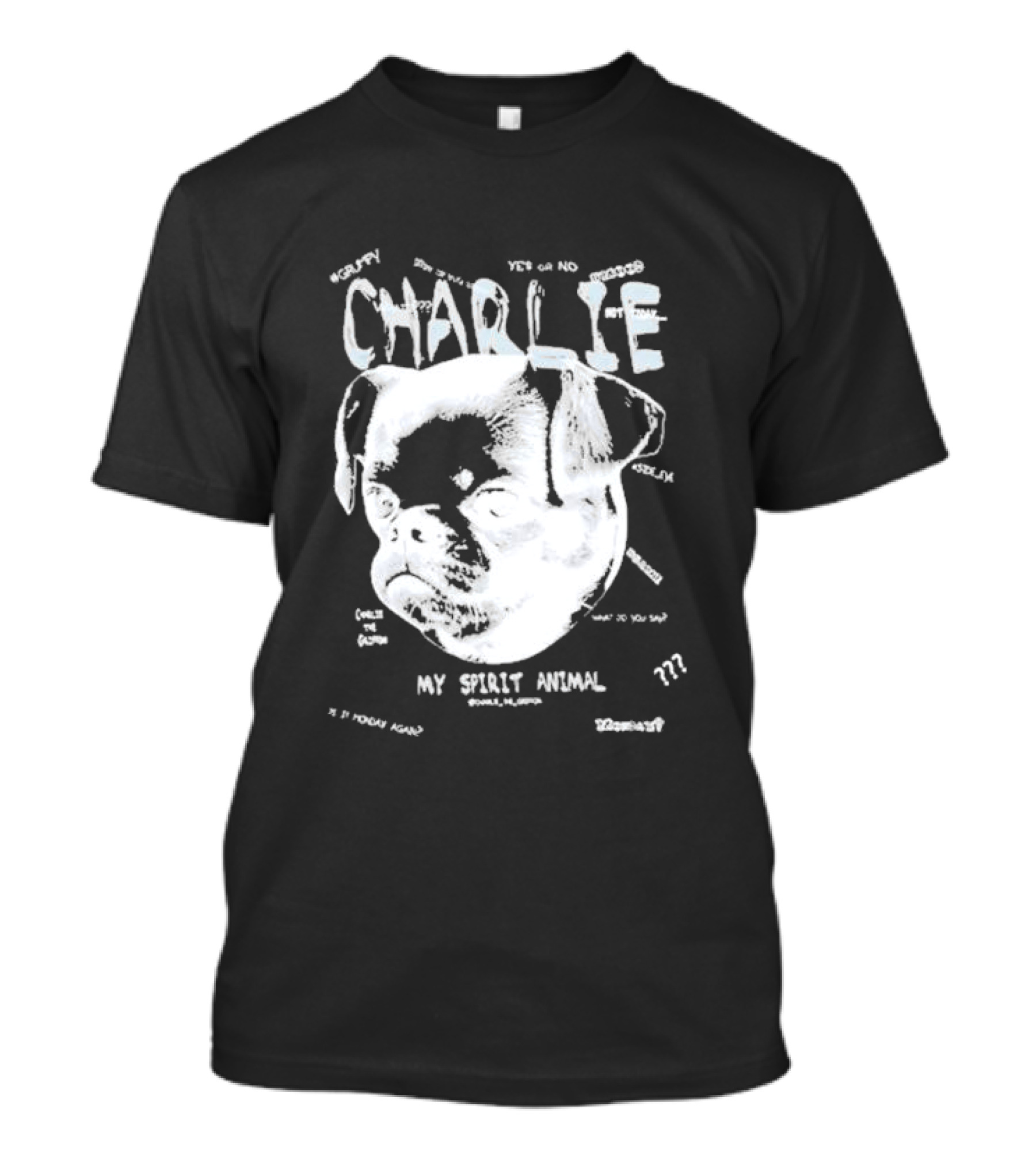 Charlie Griffon My Spirit Animal ??? Zen Surrendering Grumpy T-Shirt