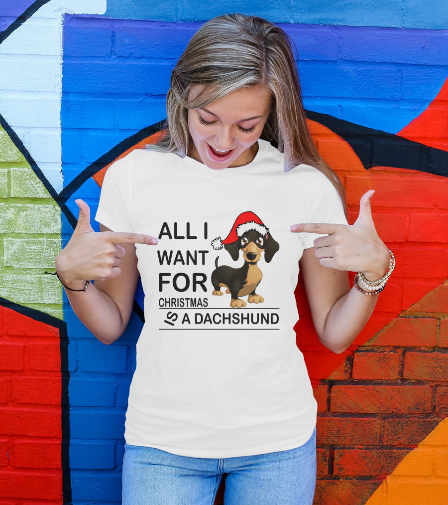 All I Want For Christmas Is A Dachshund Wearing Santa Hat T-Shirt