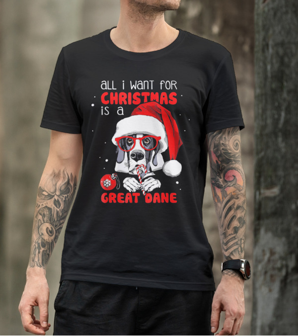 All I Want For Christmas Is A Great Dane Santa Hat Red Glasses Candy Cane T-Shirt