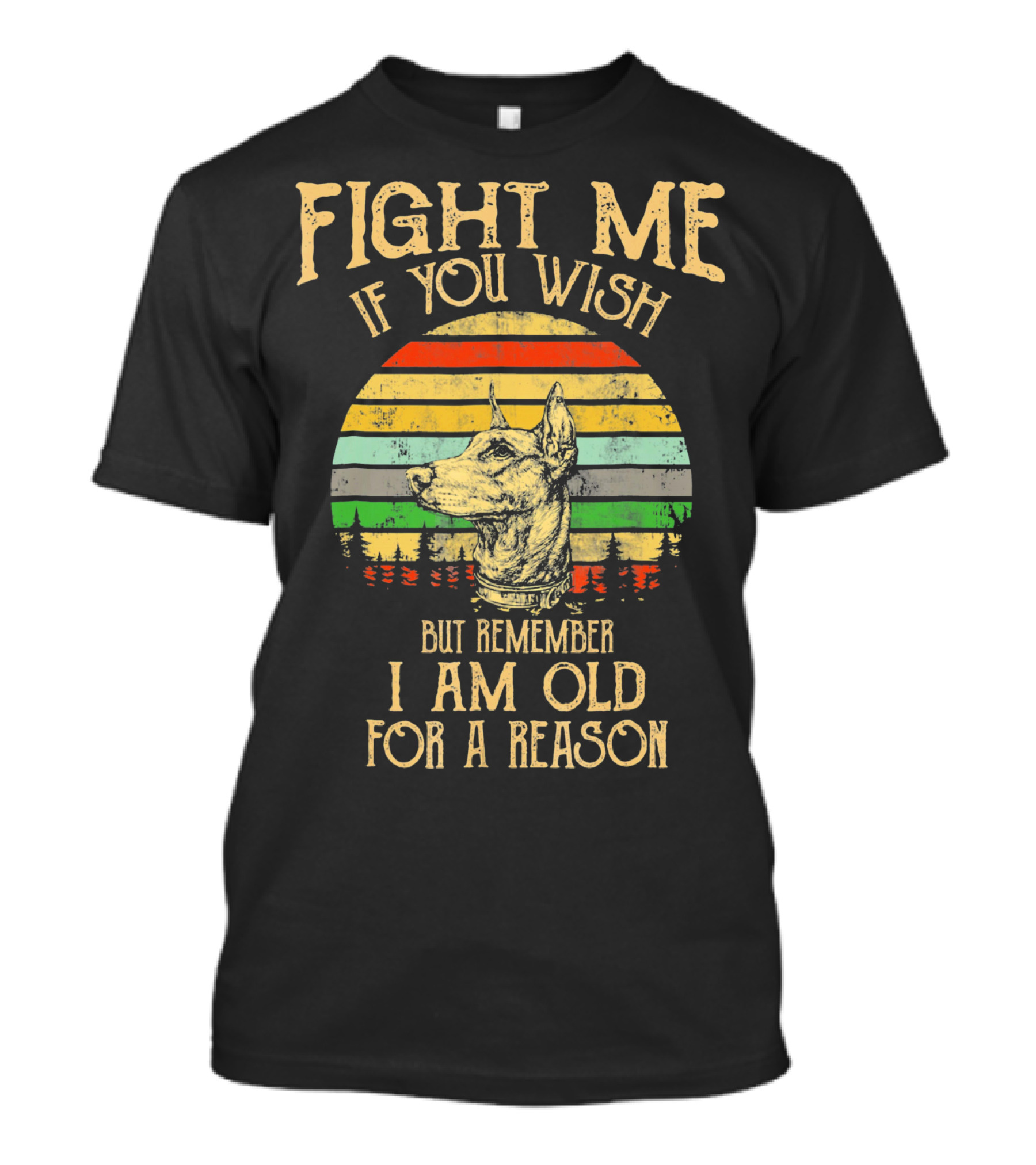 FIGHT ME IF YOU WISH BUT REMEMBER I AM OLD FOR A REASON T-Shirt